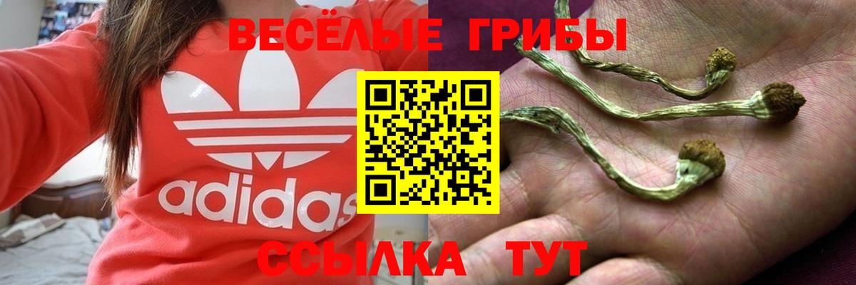 Псилоцибиновые грибы GOLDEN TEACHER Янаул