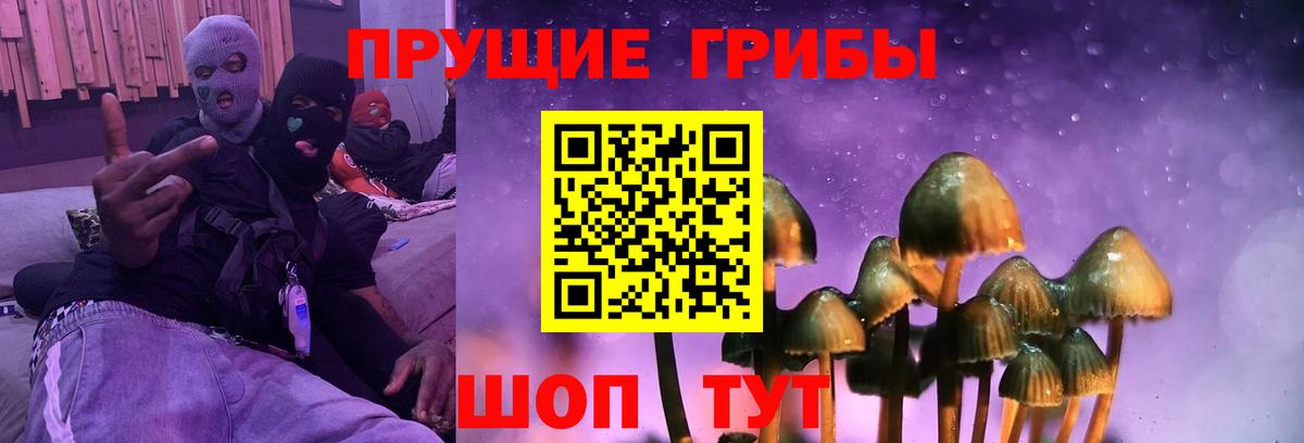 Янаул  наркотики  Вход с VPN  Галлюциногенные грибы Cubensis 