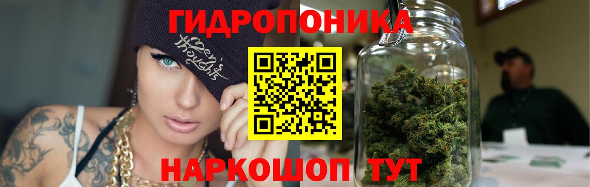 Шишки марихуана семена  Бошки марихуана THC 21%  Янаул  Конопля Bruce Banner  Марихуана White Widow  Вход с VPN 